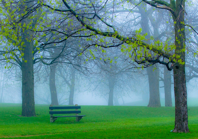 spring-033