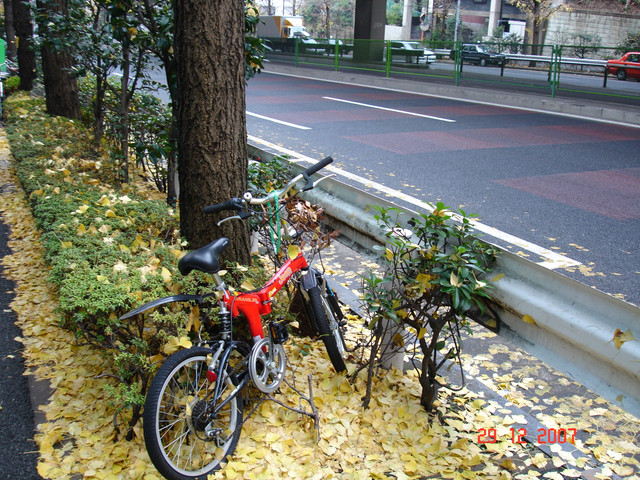 2007-12-29-34.jpg