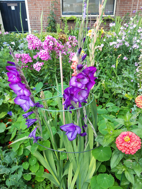 bloementuin 1 (1).jpg
