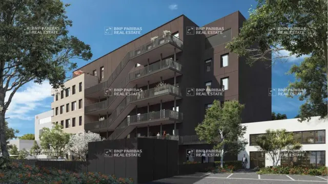 image jpg (1)