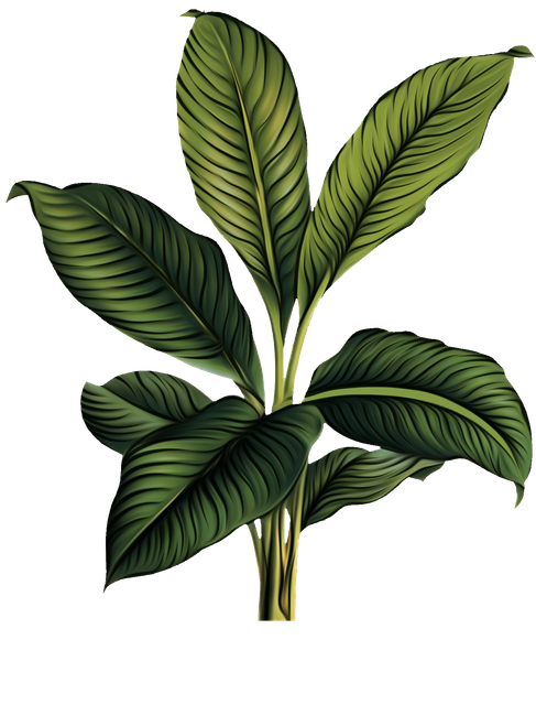 e44d23d2551e5238d4d528ef79362a67.png