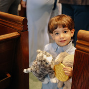 IMG 8525