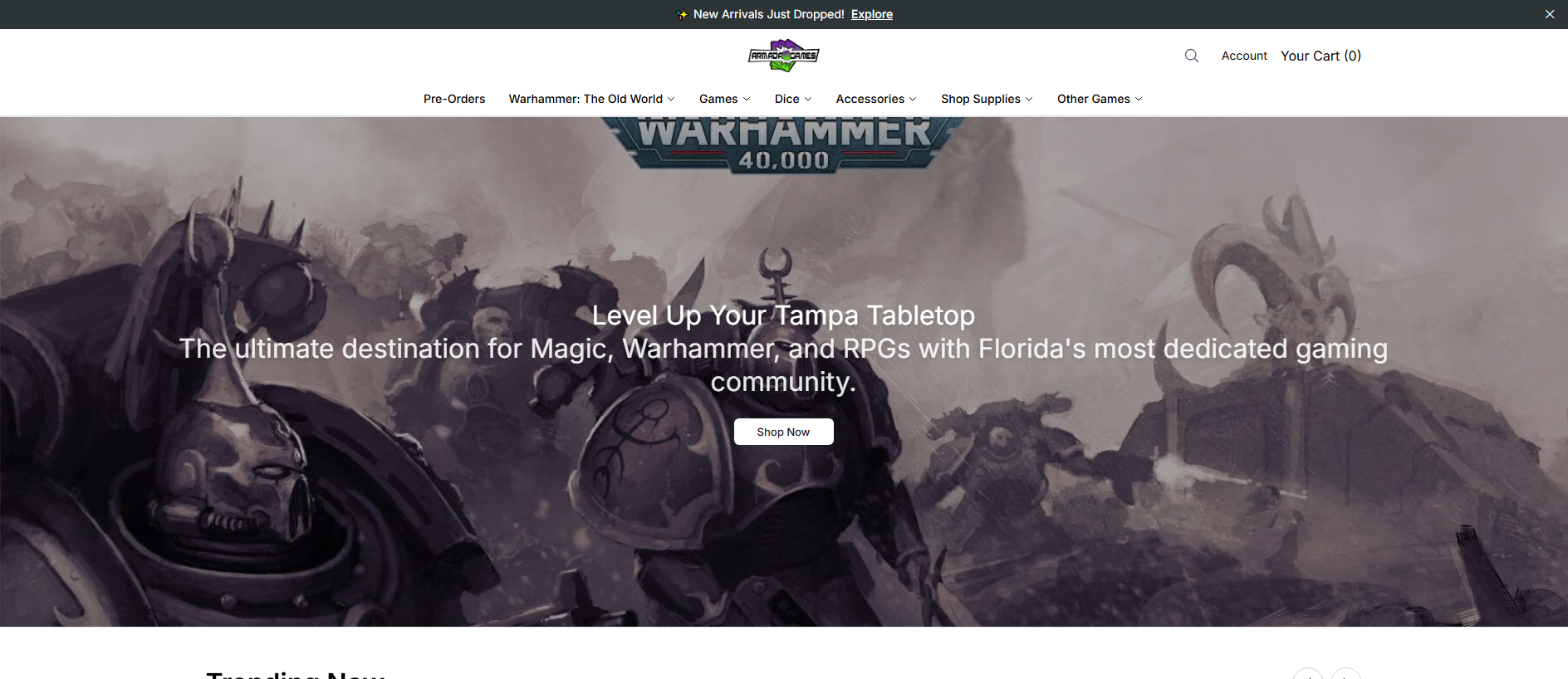 Stored capture of armadagames.shop