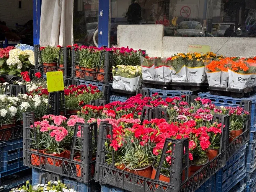 Piața de Flori Rahova este modernizată și redeschisă