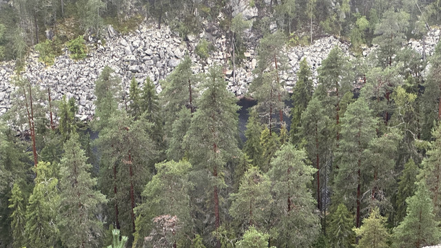 IMG 4892.jpg