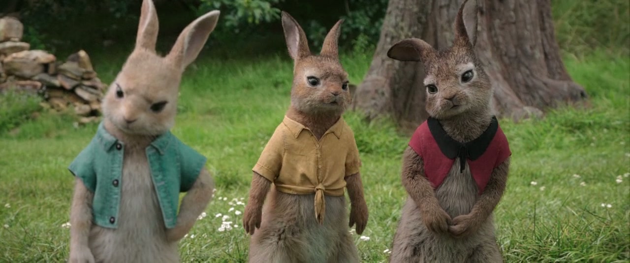 Peter Rabbit Screenshot