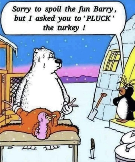 1000022537.jpg