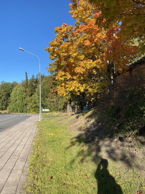 5-ECB2317-0567-4-A7-A-921-C-CD53-F1349-E