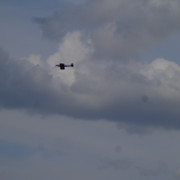 DSC00850