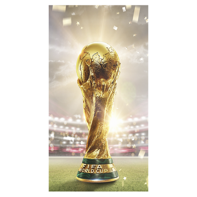 306626 Copa Brasil