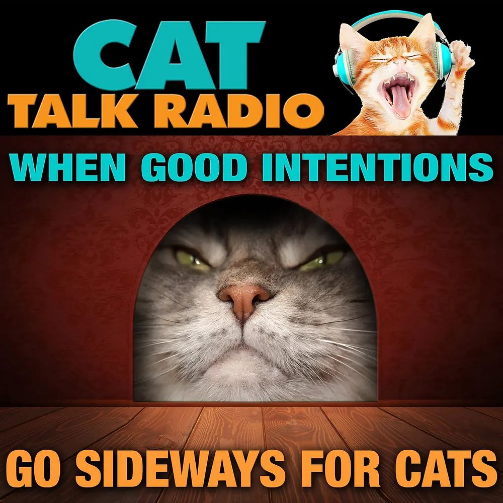Household Fixes Pose Hidden Dangers for Feline Friends