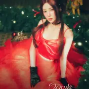 cho rong apink 30141