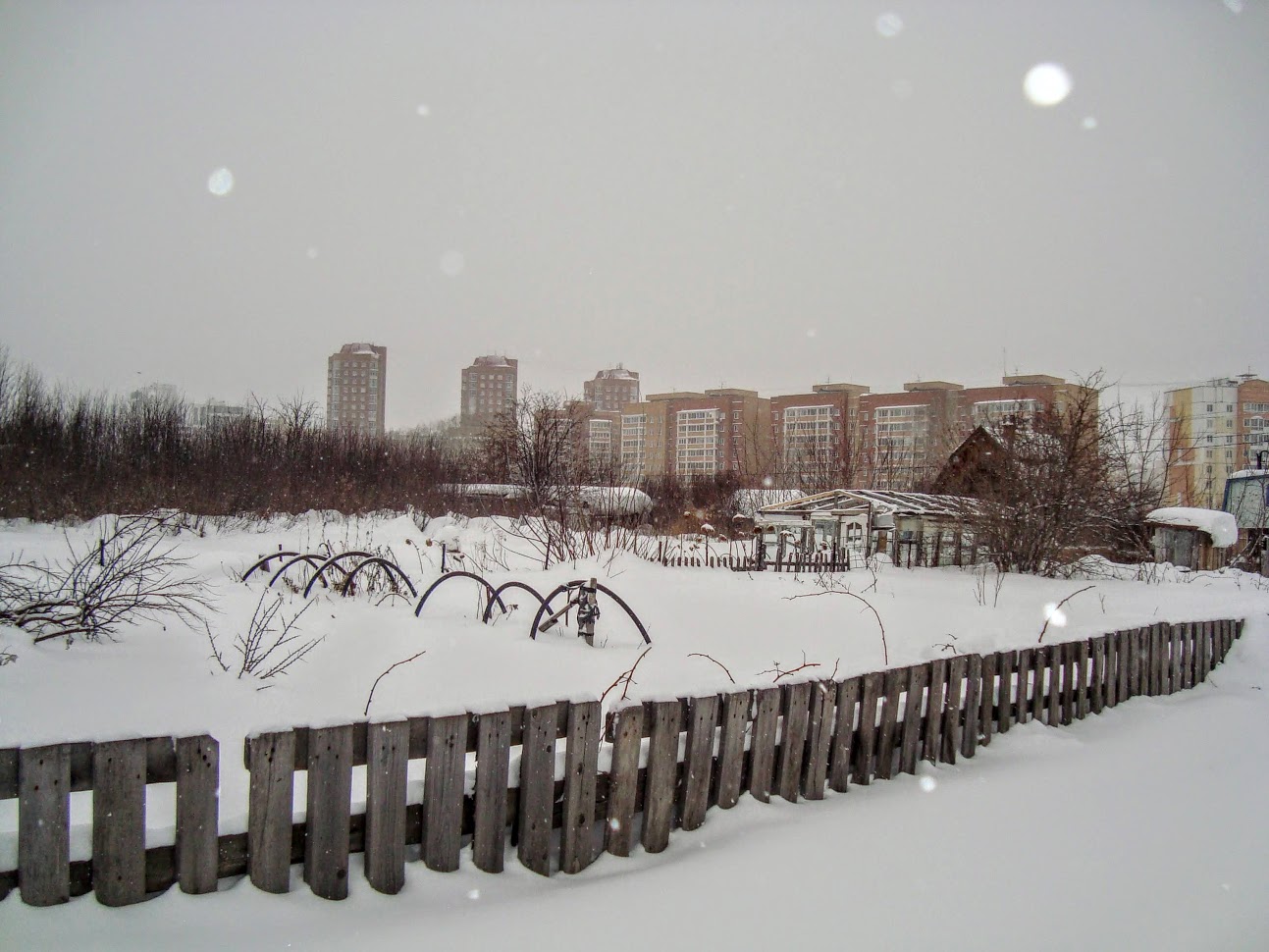DSC06219