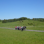 DSC04815