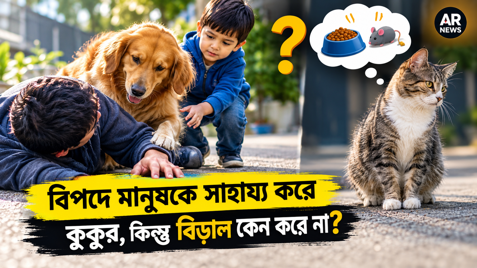 বিপদে মানুষকে সাহায্য করে কুকুর, কিন্তু বিড়াল কেন করে না?