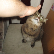 IMG-0137