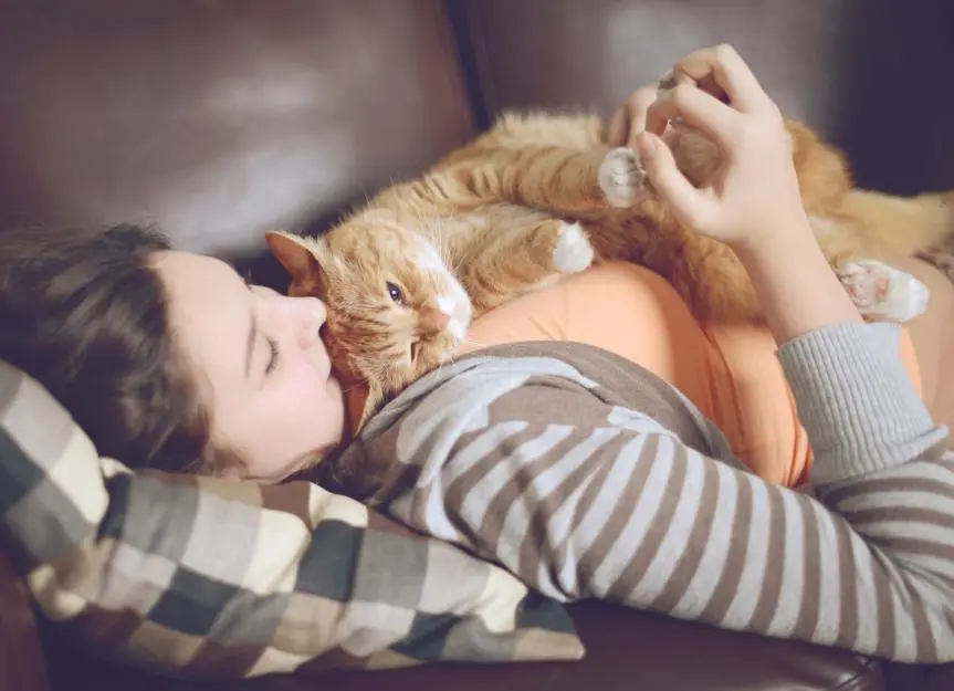 Why Cats Choose Your Chest to Snooze