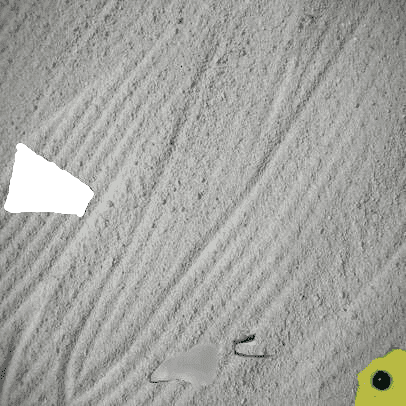 cat-1.png