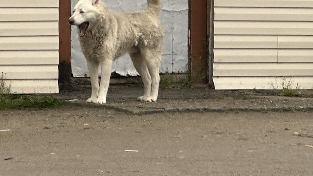 IMG 5066.jpg