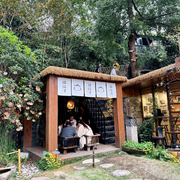 猫猫寺9