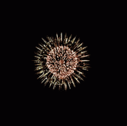 fireworks.gif