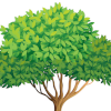 freetree.png