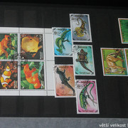 IMG-2262