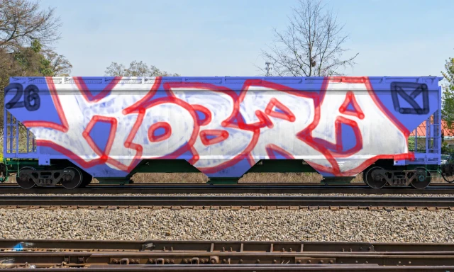 k by ducizenf12