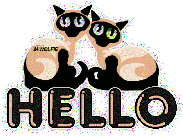 CAT77.gif