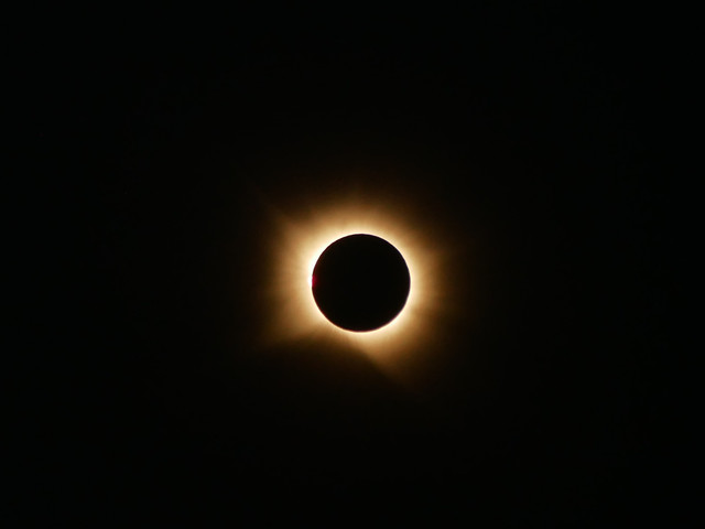 1430329.jpg