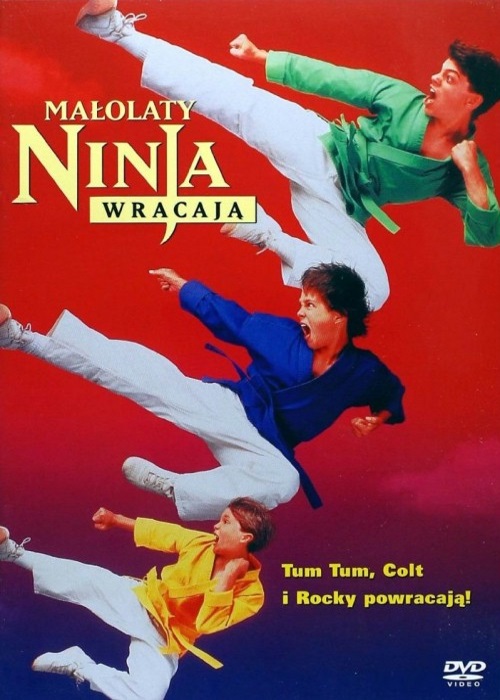 Małolaty ninja wracają / 3 Ninjas Kick Back (1994) PL.1080p.WEB-DL.X264-Kbuso | Lektor PL