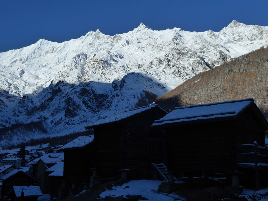P1090874.jpg