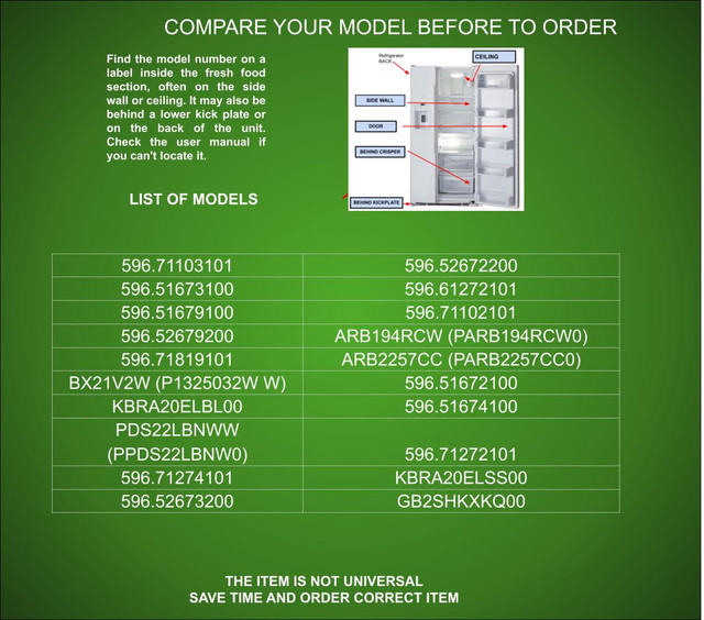 12555902 Models 2.jpg