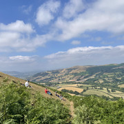 IMG 9521