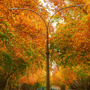DSCN5022