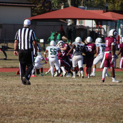 IMG-5433