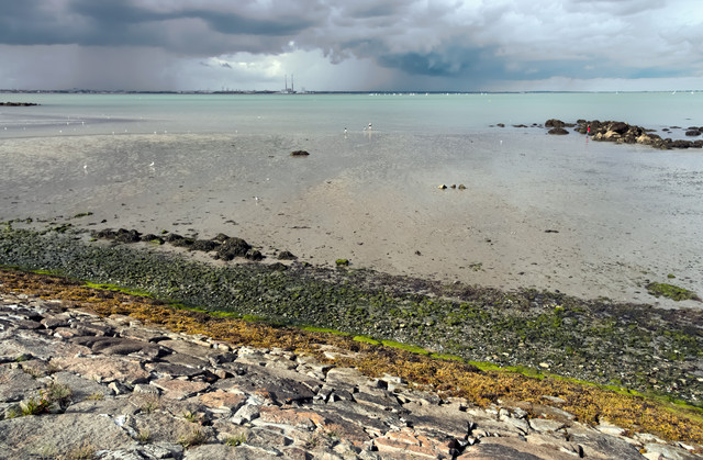 IMGP1093.jpg