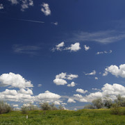 1c00283m
