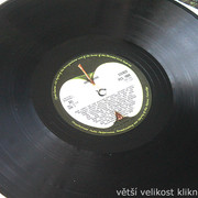 IMG-9836