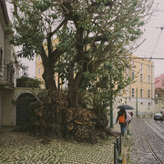 IMGP7576