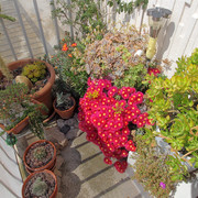 IMG-7802