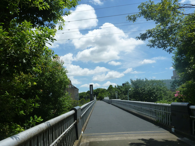 P1330806