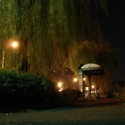 2012-09-26-059