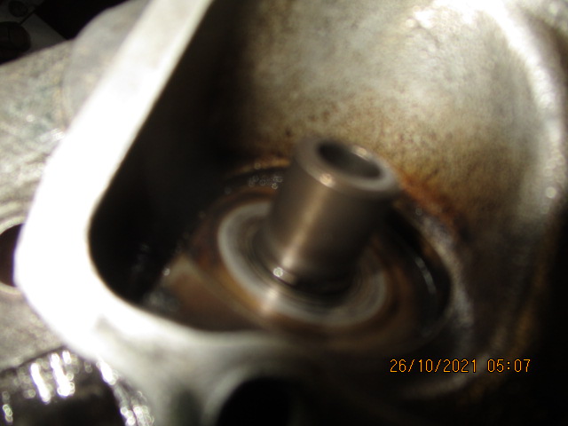 IMG-8919.jpg