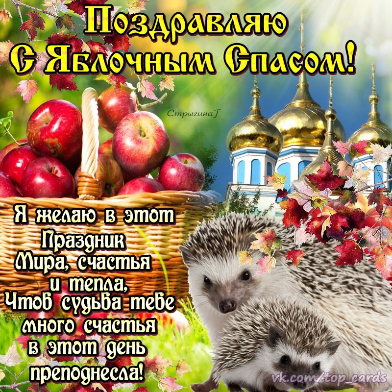 S-Preobrazheniem-Gospodnim-i-Yablochnym-Spasom