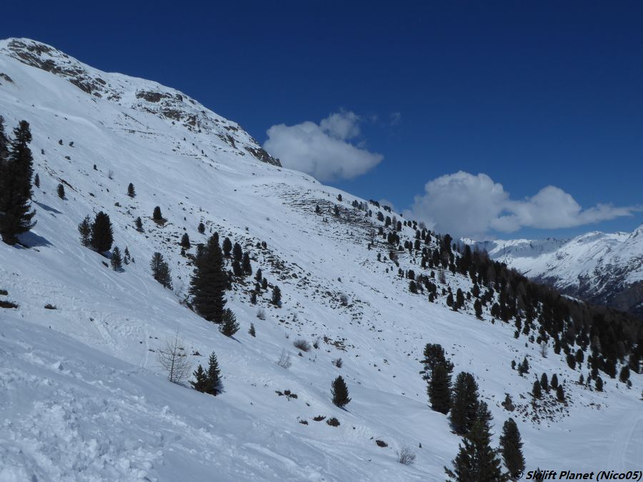 P1120201.jpg