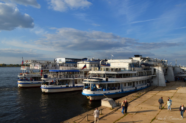 DSC-8242