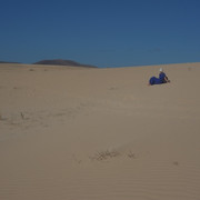 DSCF8537