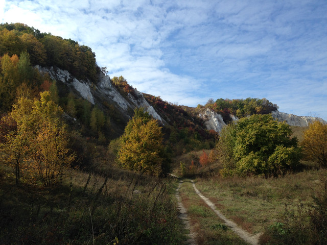 IMG-4317.jpg