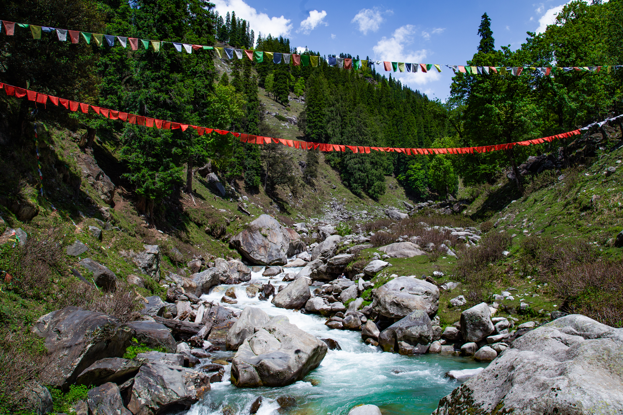 IMG-9506-1.jpg